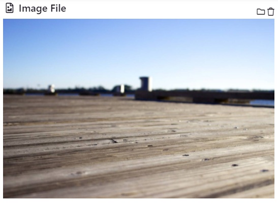 Image file field example