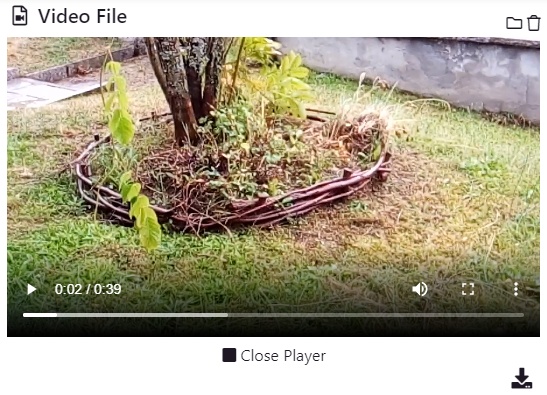 Video file field example